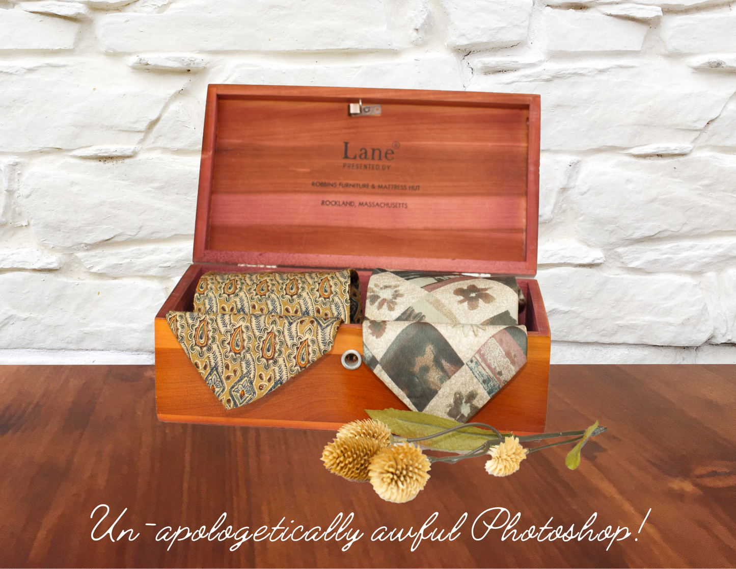 Silk & Cedar Gift Vignette