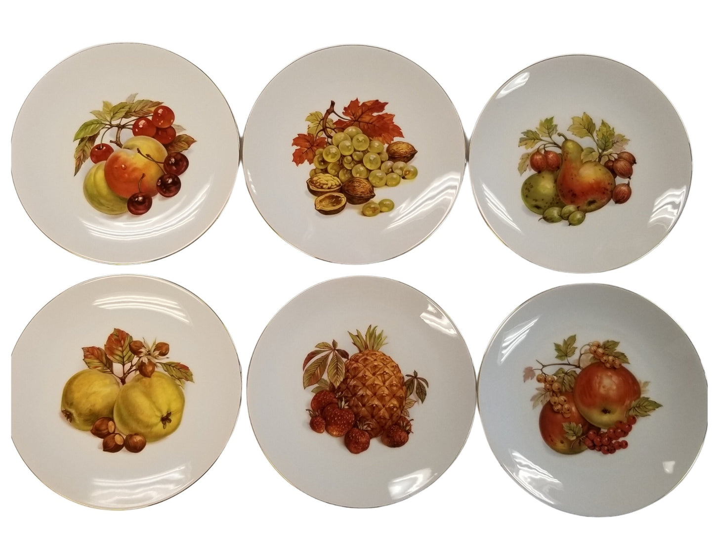 Well Plated Gift Vignette